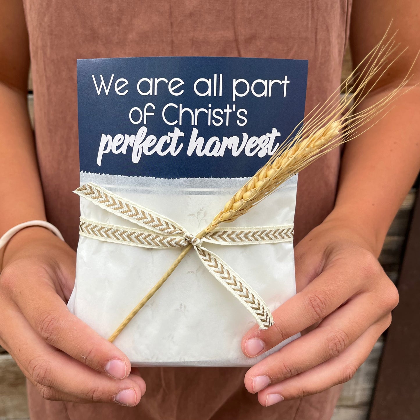August 2023 Ministering Gift - Perfect Harvest