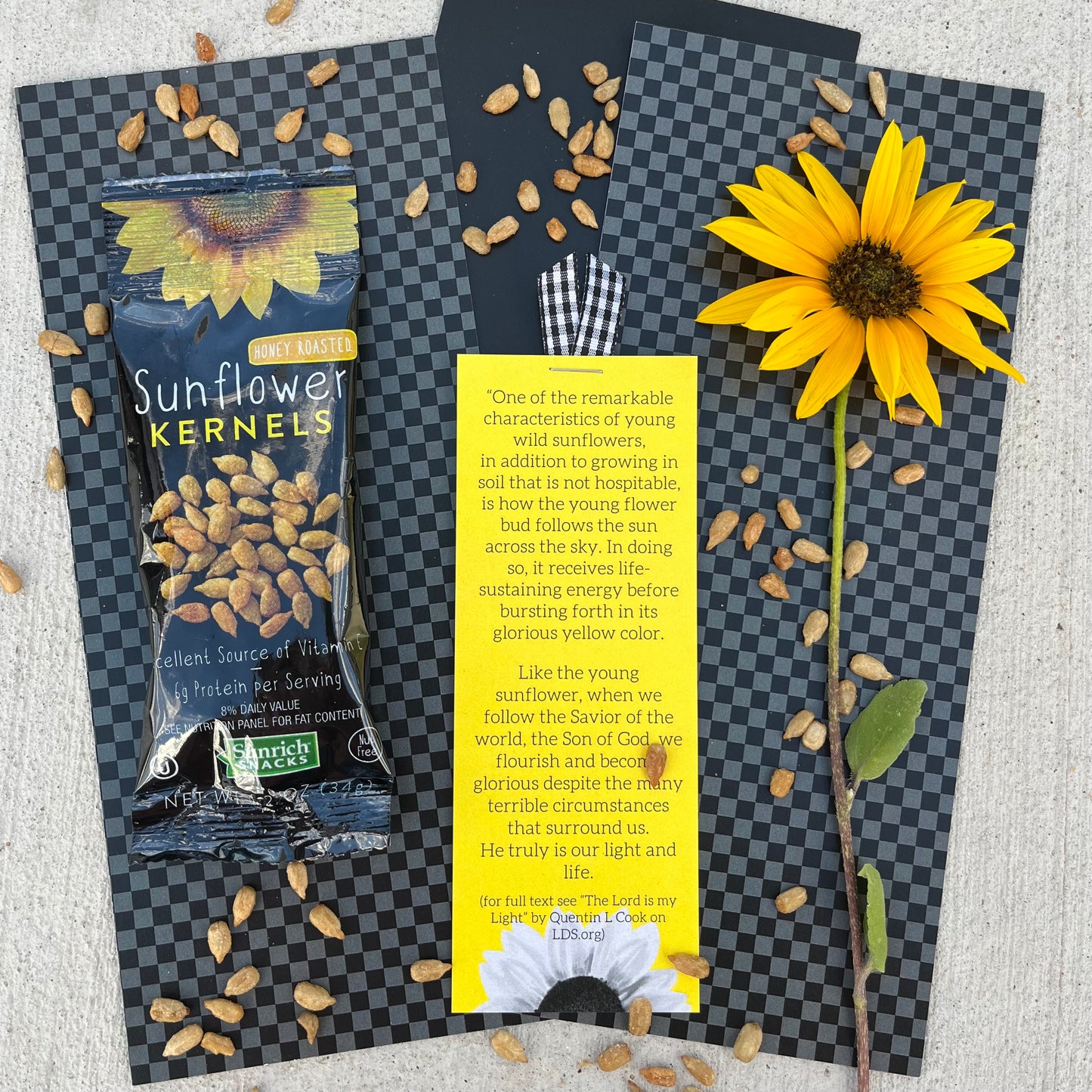 September 2023 Ministering Gift - Follow the Son