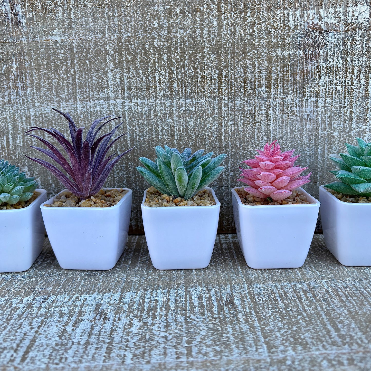 March 2025 Ministering Gift - Beautiful Bloom