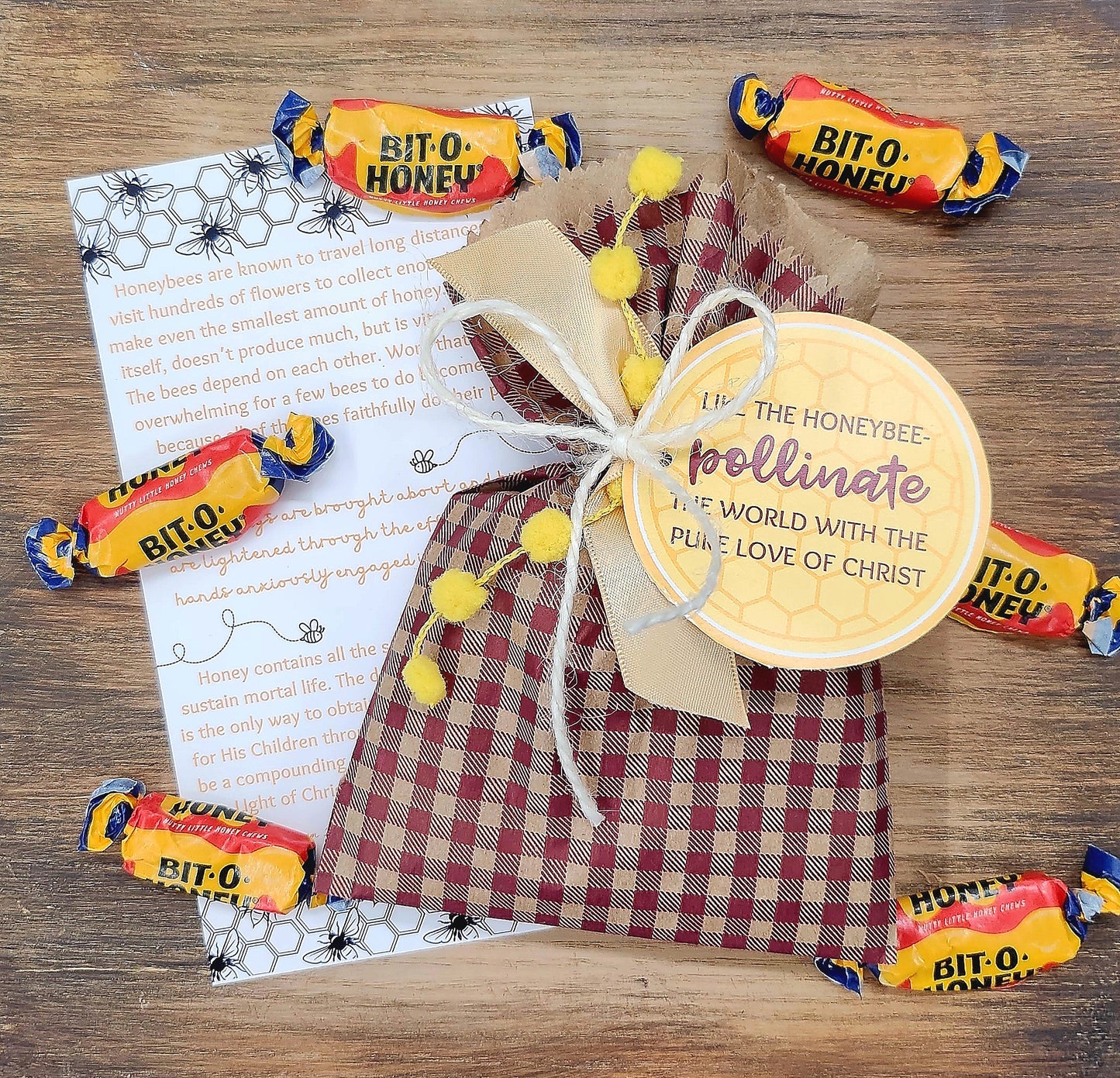 Ministering Gift - Pollinate the World with the Pure Love of Christ