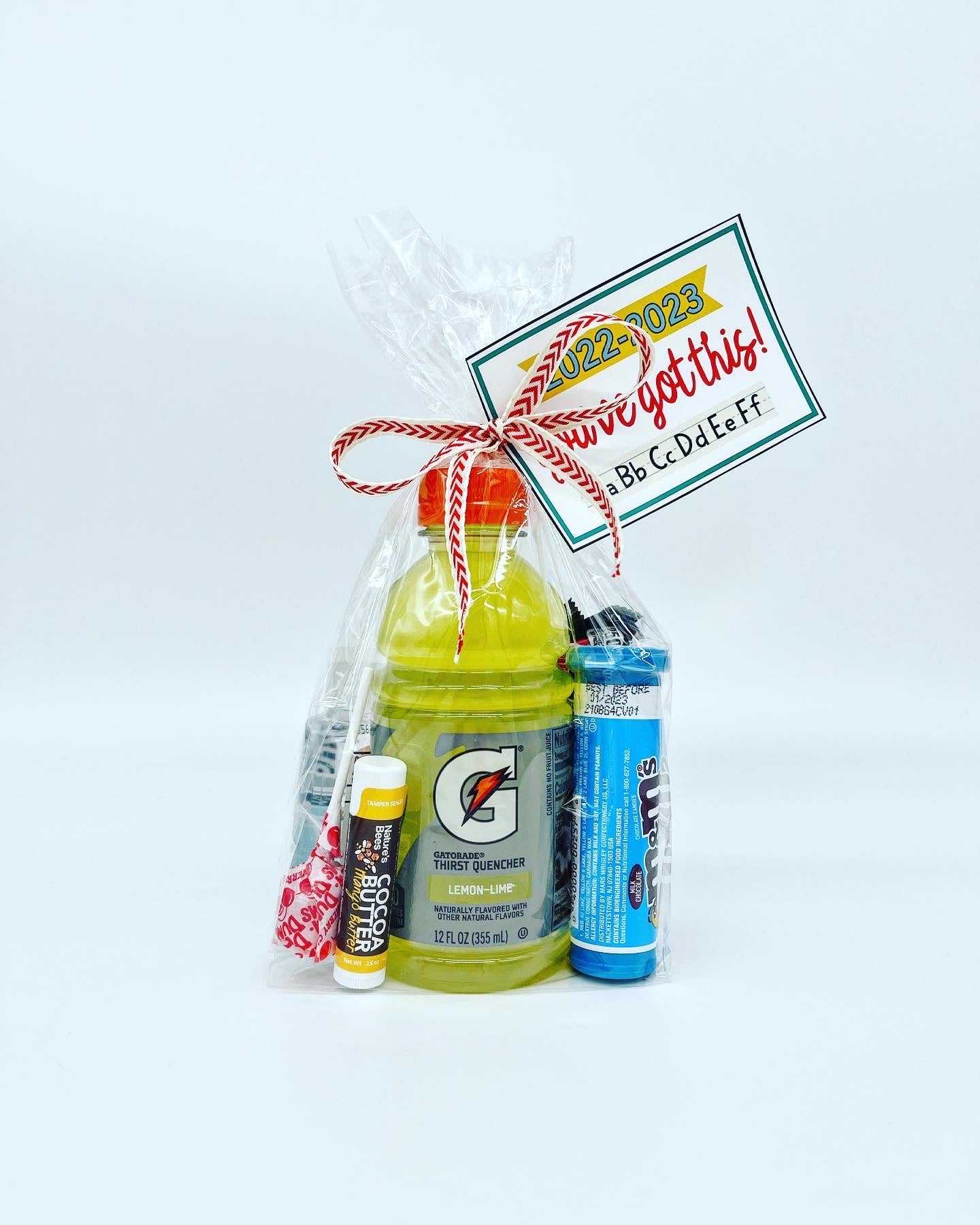 Back To School Gift - You've Got This