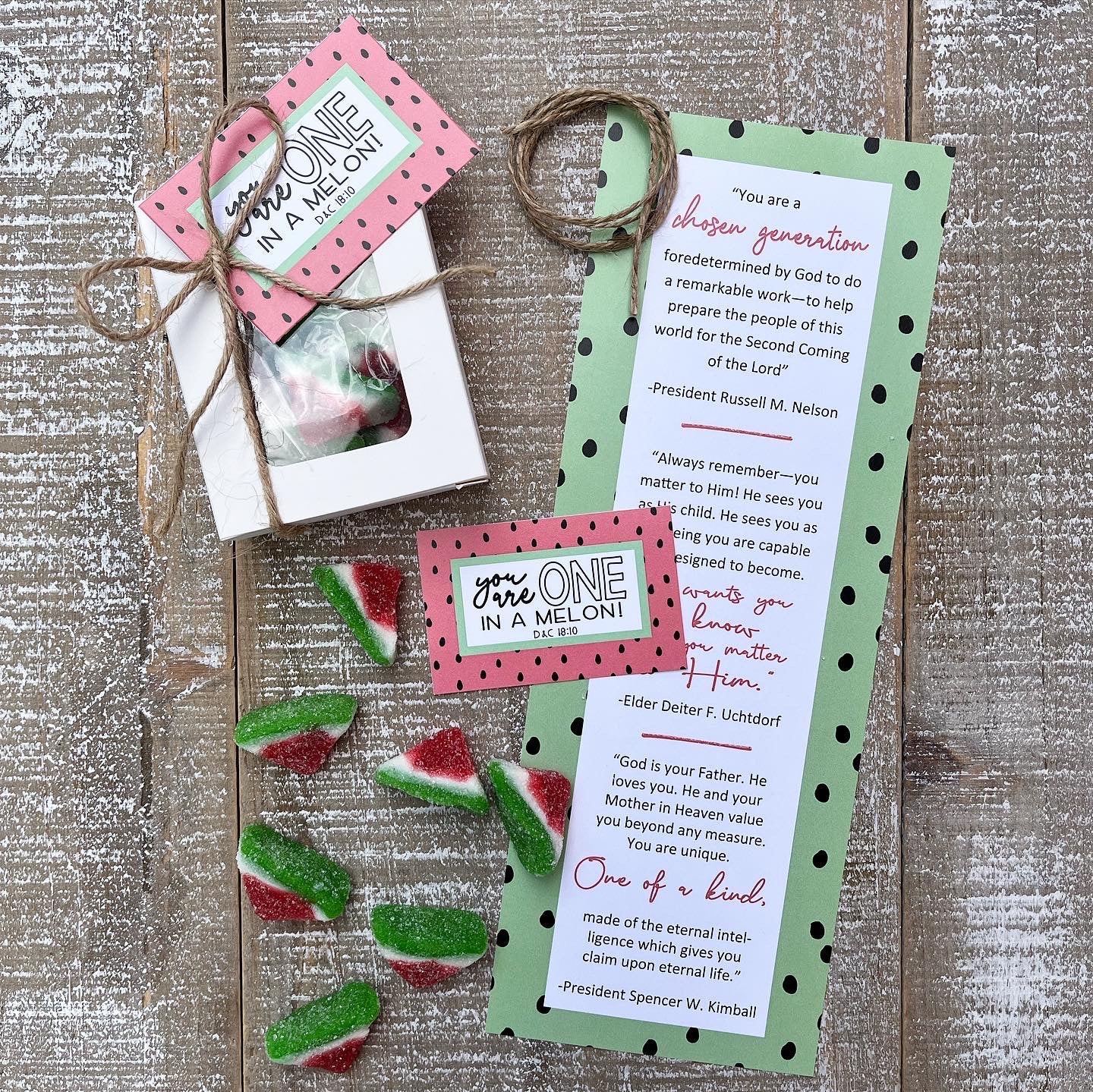 Ministering Gift - One in a Melon