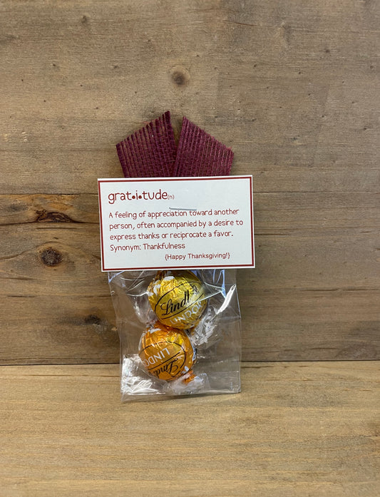 Thanksgiving Favor  - Gratitude Definition