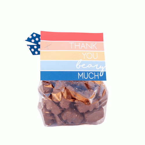 Thank You Gift - Thank You Beary Much