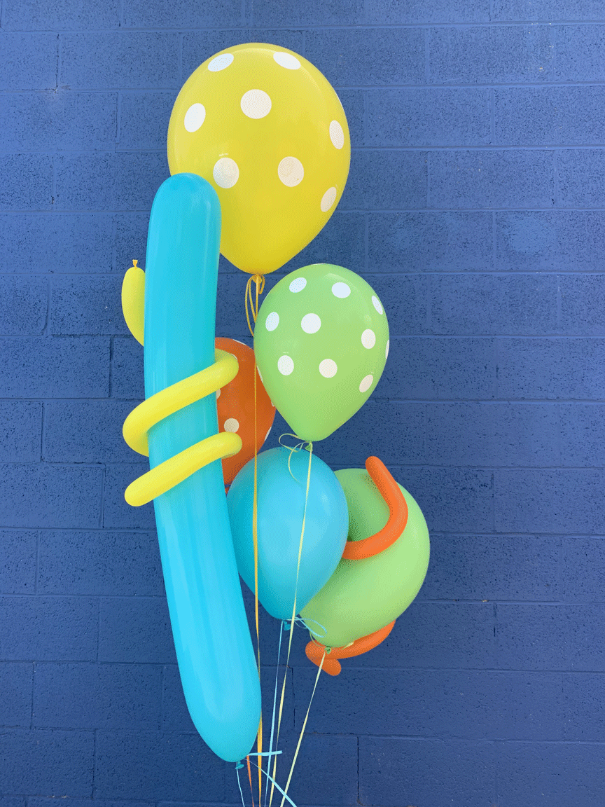 Balloon Bouquet - The Pioneer