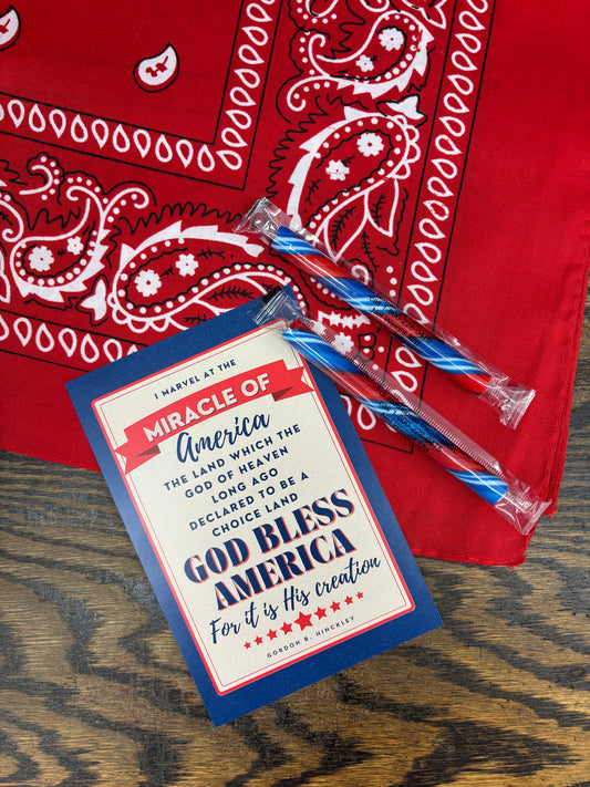 Ministering Gift - Miracle of America
