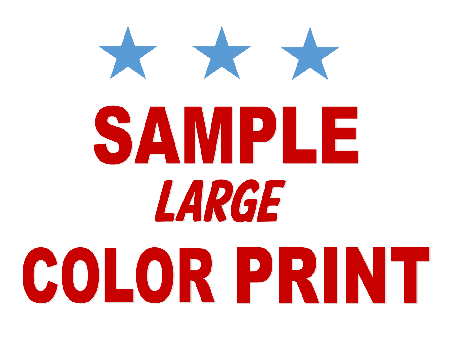 Large Document Prints - Color Print