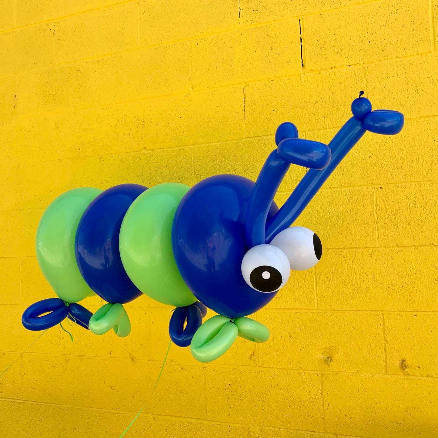 Specialty Balloon - Caterpillar