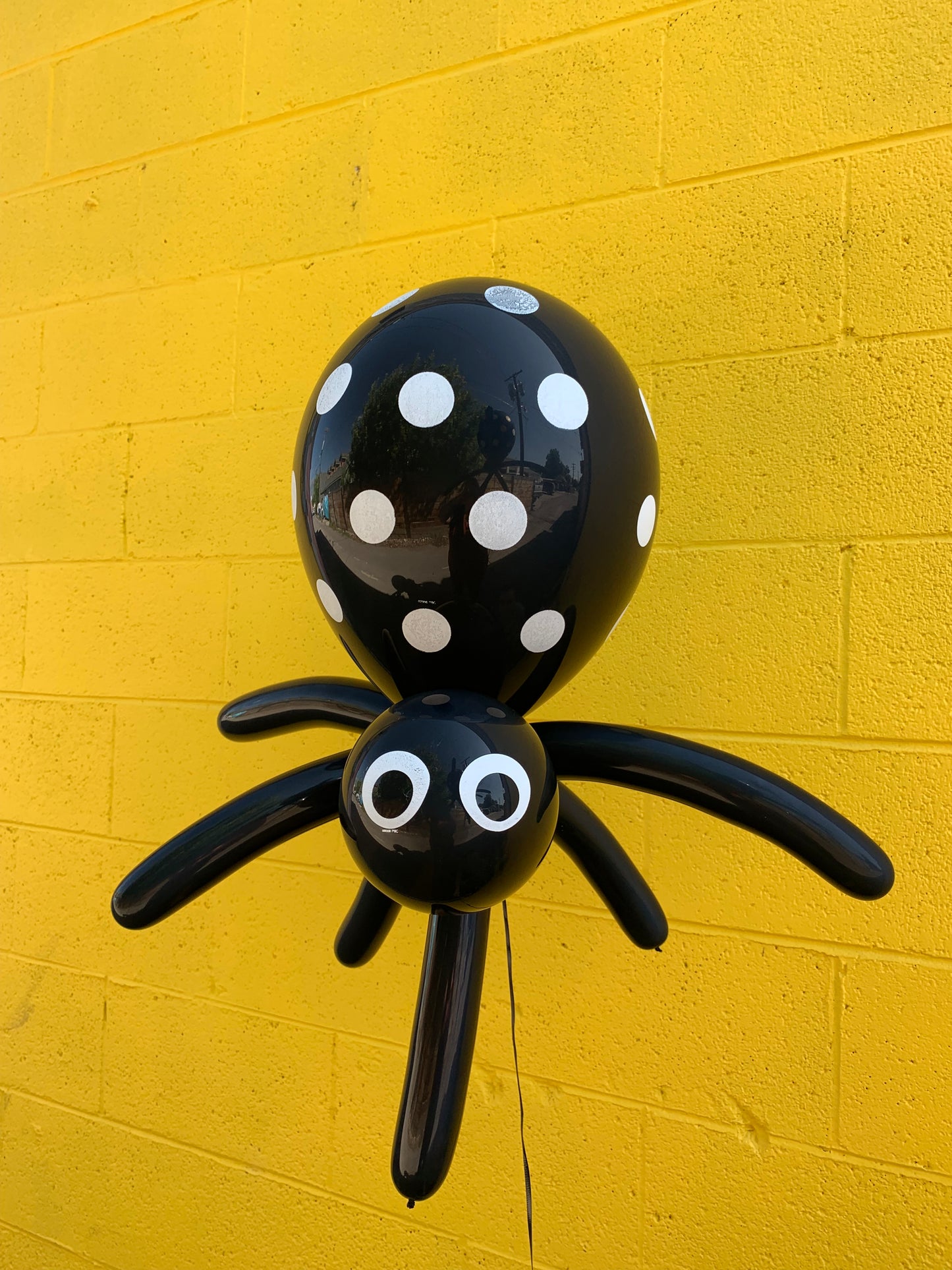 Specialty Balloon - Spider